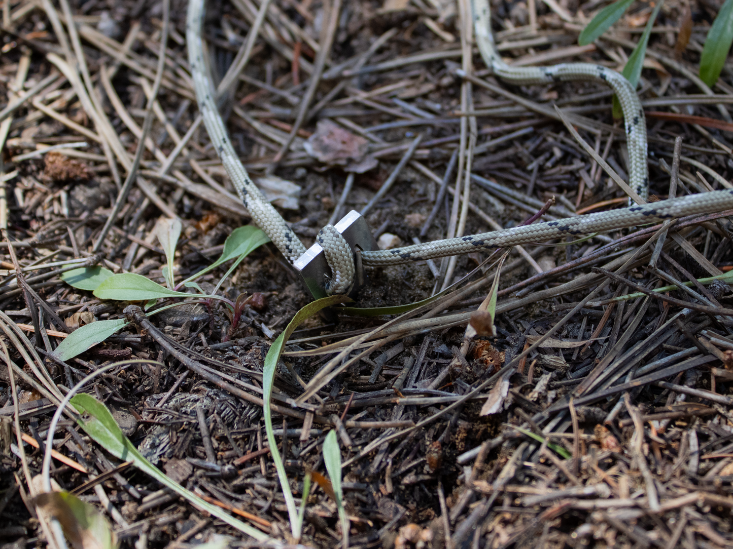 Bolt© - Tent Peg (Quick Set Guyline Peg)