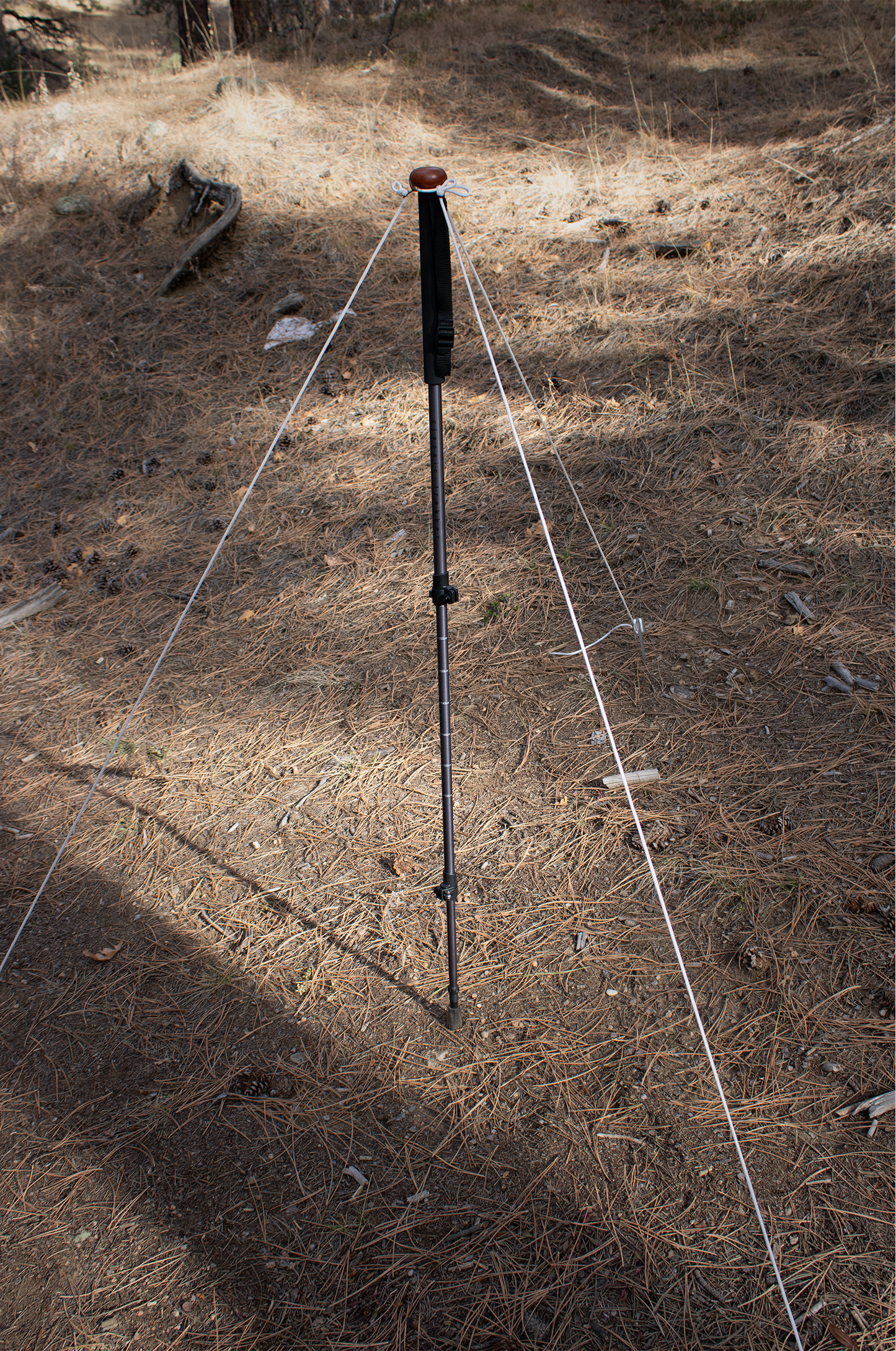 Tri-disk™ - Trekking Pole Tripod Converter (Adds support to existing Monopods/Trekking Poles)